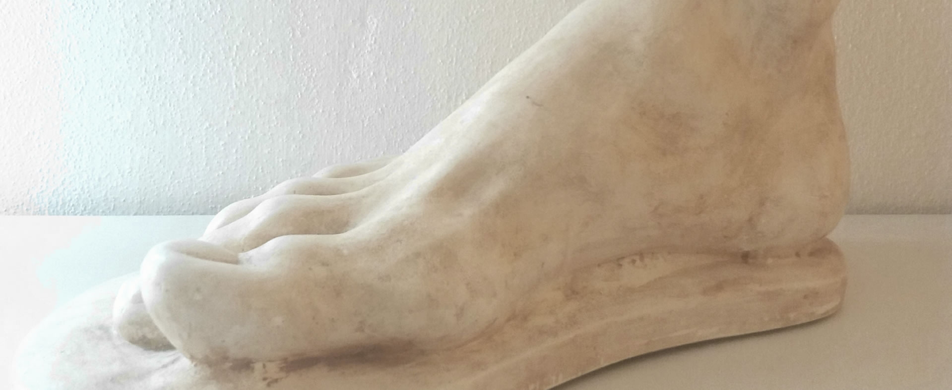 Il piede e la sua ingegneria